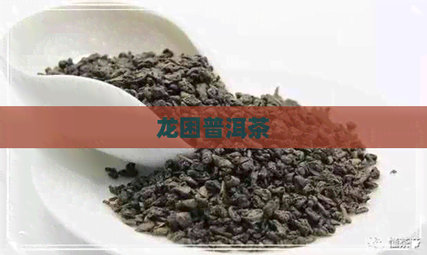 龙困普洱茶