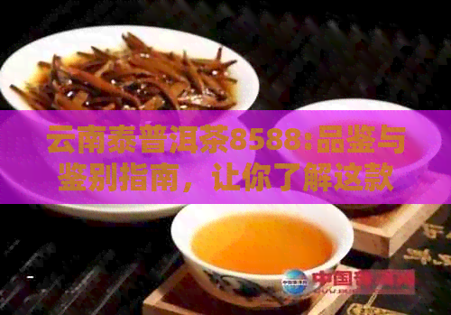 云南泰普洱茶8588:品鉴与鉴别指南，让你了解这款茶叶的全方位信息