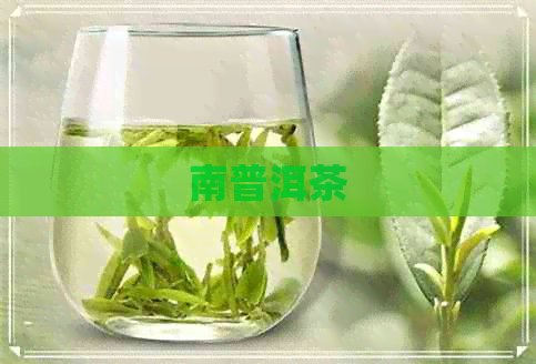 南普洱茶