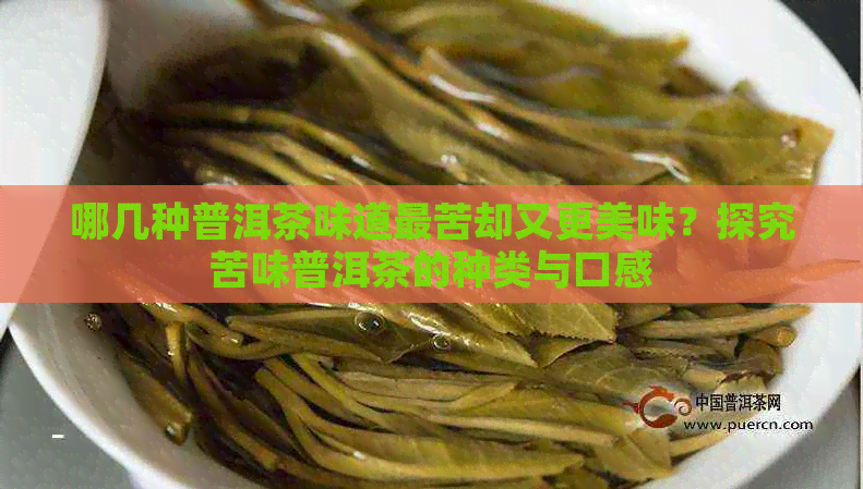 哪几种普洱茶味道最苦却又更美味？探究苦味普洱茶的种类与口感