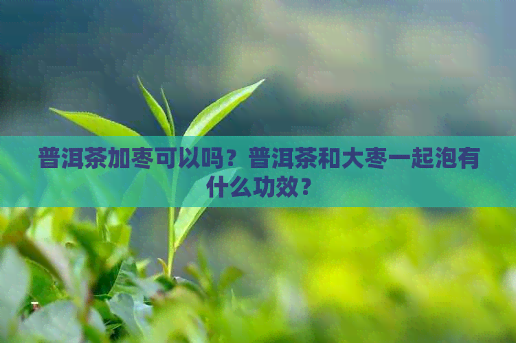 普洱茶加枣可以吗？普洱茶和大枣一起泡有什么功效？