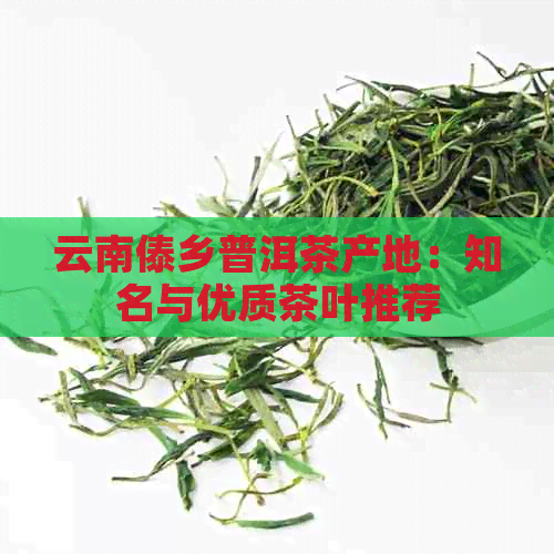 云南傣乡普洱茶产地：知名与优质茶叶推荐