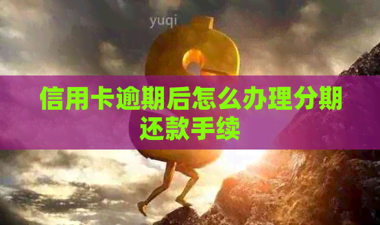 信用卡逾期后怎么办理分期还款手续