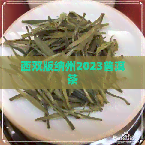 西双版纳州2023普洱茶