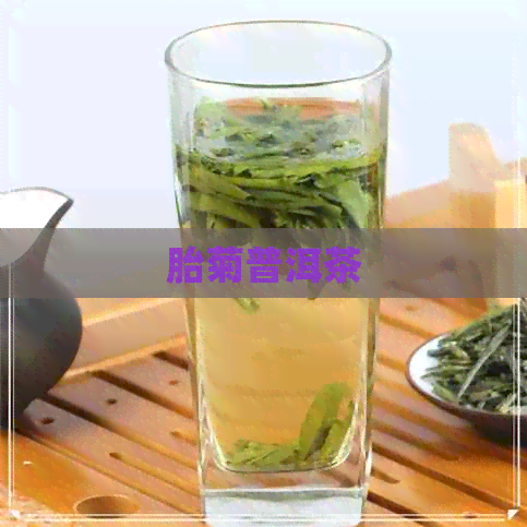 胎菊普洱茶