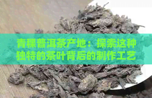 青稞普洱茶产地：探索这种独特的茶叶背后的制作工艺与地理分布