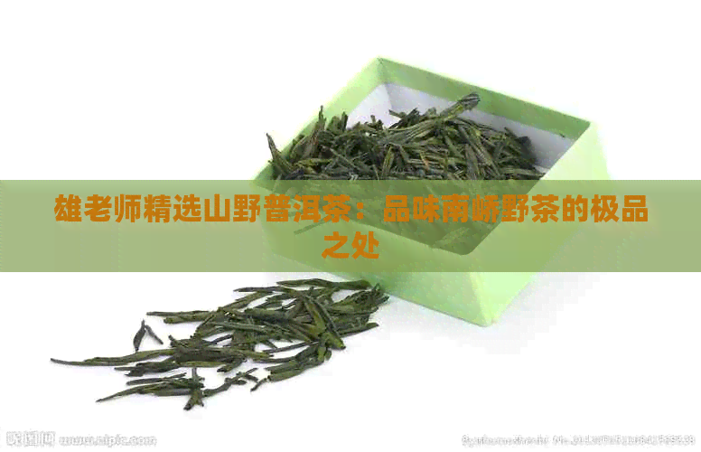 雄老师精选山野普洱茶：品味南峤野茶的极品之处