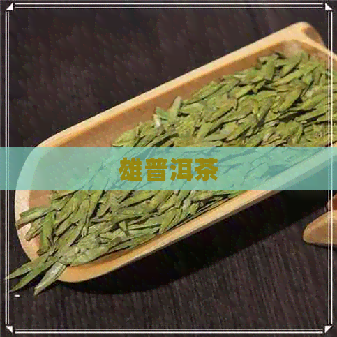 雄普洱茶