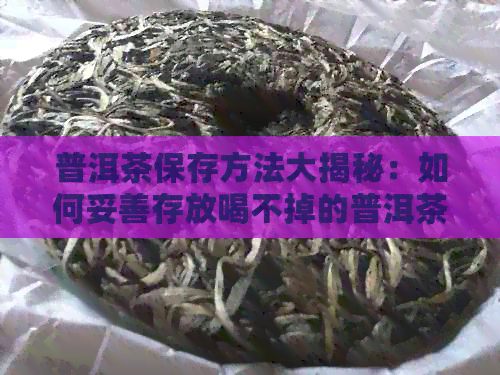 普洱茶保存方法大揭秘：如何妥善存放喝不掉的普洱茶？