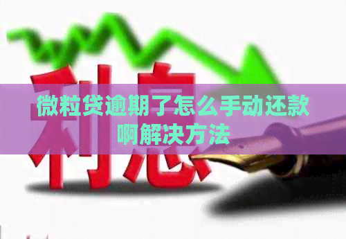 微粒贷逾期了怎么手动还款啊解决方法