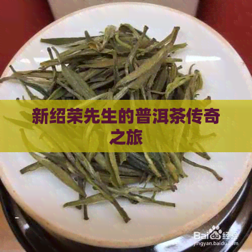 新绍荣先生的普洱茶传奇之旅