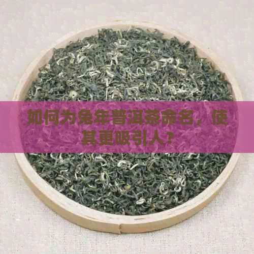 如何为兔年普洱茶命名，使其更吸引人？