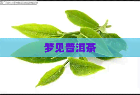 梦见普洱茶