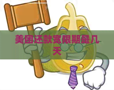 美团还款宽限期是几天