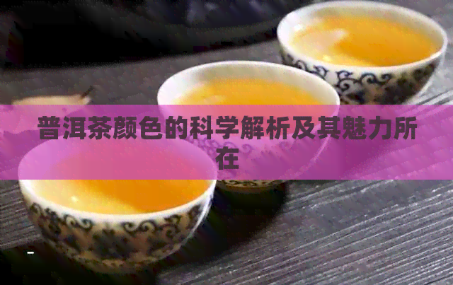 普洱茶颜色的科学解析及其魅力所在