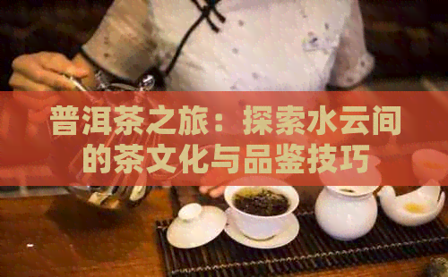 普洱茶之旅：探索水云间的茶文化与品鉴技巧