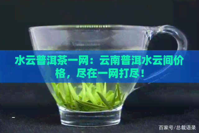 水云普洱茶一网：云南普洱水云间价格，尽在一网打尽！