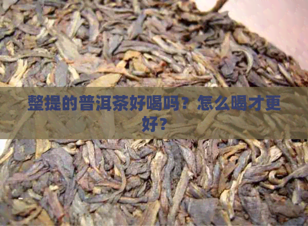 整提的普洱茶好喝吗？怎么喝才更好？