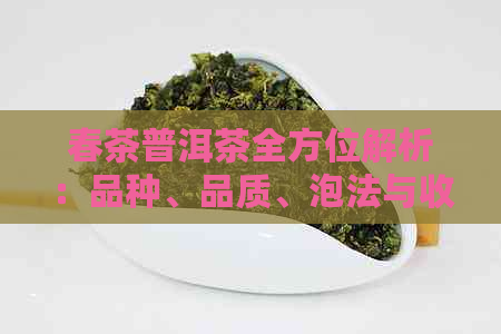 春茶普洱茶全方位解析：品种、品质、泡法与收藏攻略