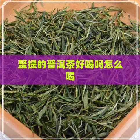 整提的普洱茶好喝吗怎么喝