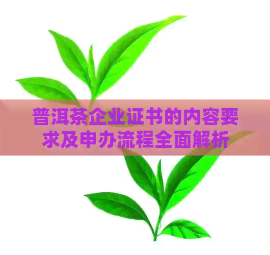 普洱茶企业证书的内容要求及申办流程全面解析