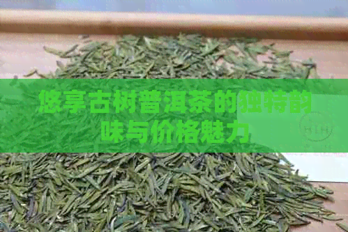 悠享古树普洱茶的独特韵味与价格魅力