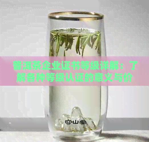 普洱茶企业证书等级详解：了解各种等级认证的意义与价值