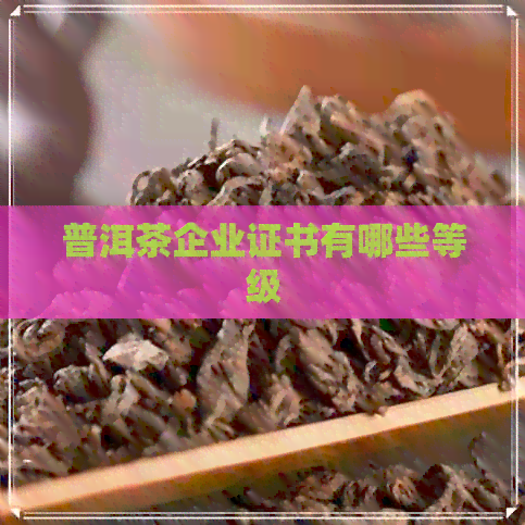 普洱茶企业证书有哪些等级