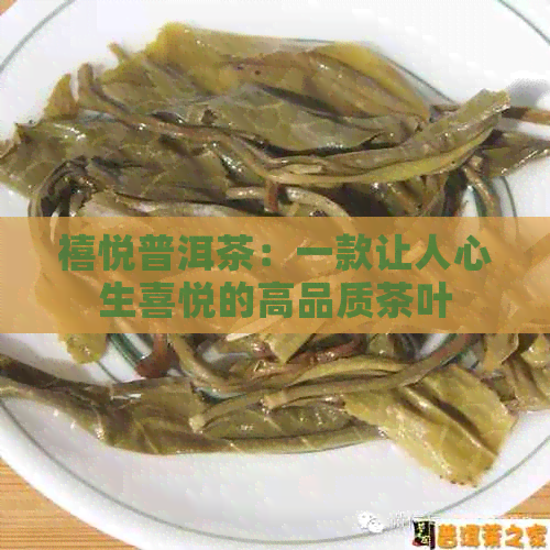 禧悦普洱茶：一款让人心生喜悦的高品质茶叶