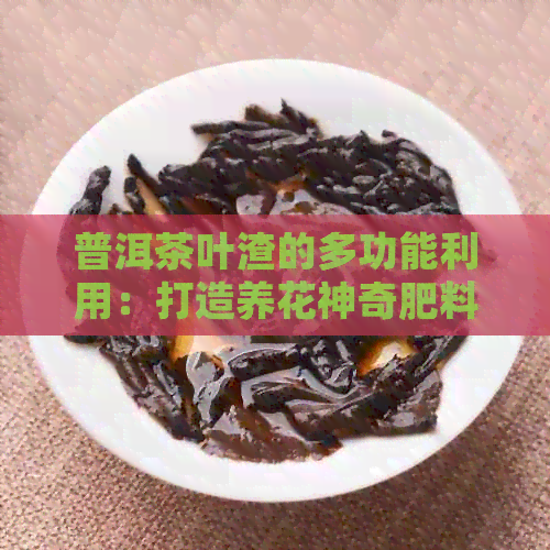 普洱茶叶渣的多功能利用：打造养花神奇肥料