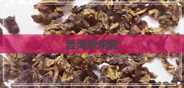 普洱茶用肥