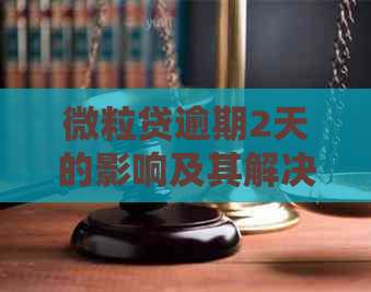 微粒贷逾期2天的影响及其解决方案：全面解析与建议