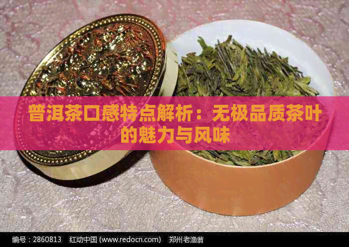 普洱茶口感特点解析：无极品质茶叶的魅力与风味