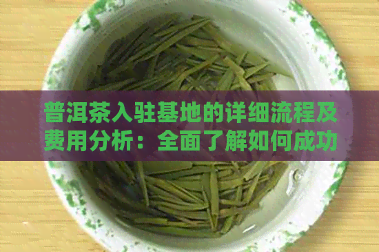 普洱茶入驻基地的详细流程及费用分析：全面了解如何成功进驻普洱茶产区