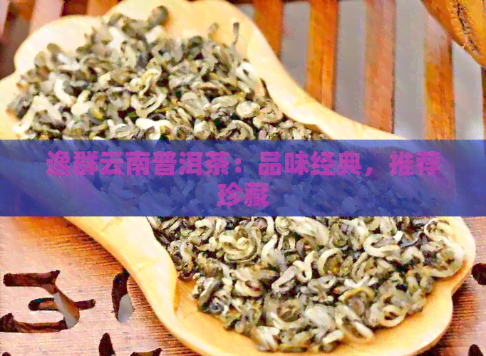 逸群云南普洱茶：品味经典，推荐珍藏