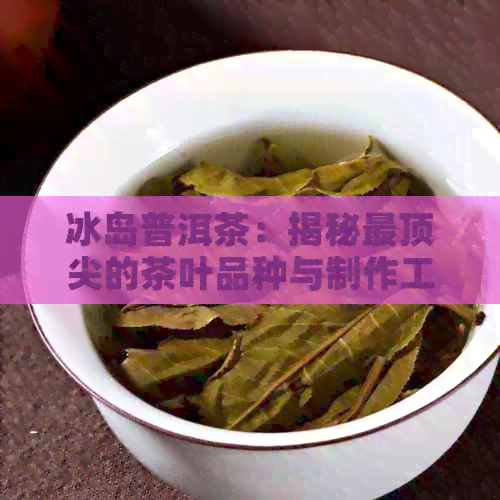 冰岛普洱茶：揭秘最顶尖的茶叶品种与制作工艺，带你深入了解其独特魅力