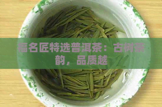 福名匠特选普洱茶：古树茶韵，品质越