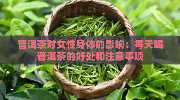 普洱茶对女性身体的影响：每天喝普洱茶的好处和注意事项