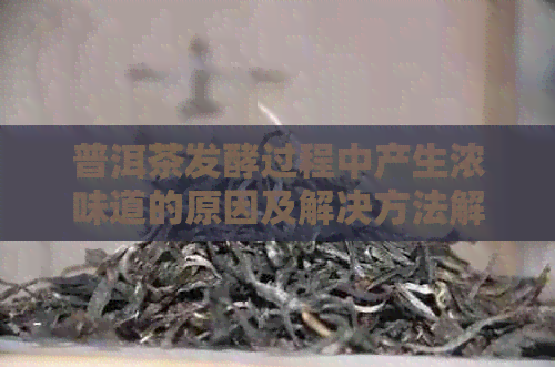 普洱茶发酵过程中产生浓味道的原因及解决方法解析