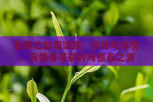 恒春之韵普洱茶：价格与详情，含恒春号茶叶与恒春之源