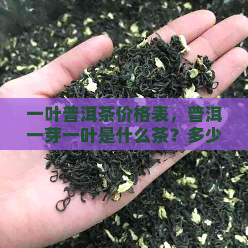 一叶普洱茶价格表，普洱一芽一叶是什么茶？多少钱一斤？