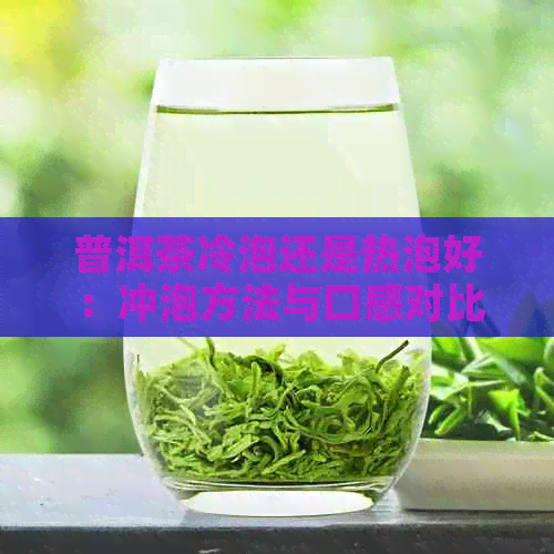 普洱茶冷泡还是热泡好：冲泡方法与口感对比