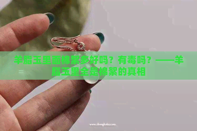 羊脂玉里面棉絮多好吗？有吗？——羊脂玉里全是棉絮的真相