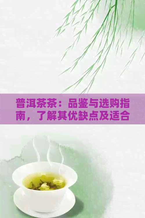 普洱茶茶：品鉴与选购指南，了解其优缺点及适合的饮用方式