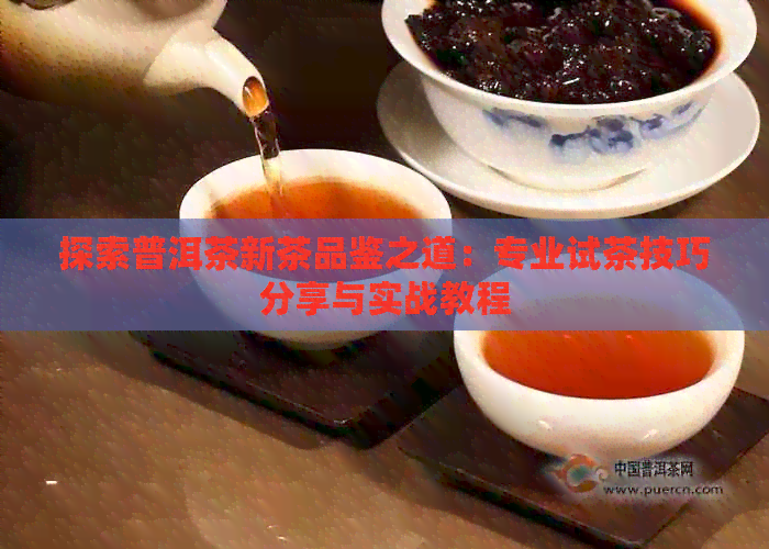 探索普洱茶新茶品鉴之道：专业试茶技巧分享与实战教程