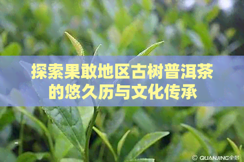 探索果敢地区古树普洱茶的悠久历与文化传承