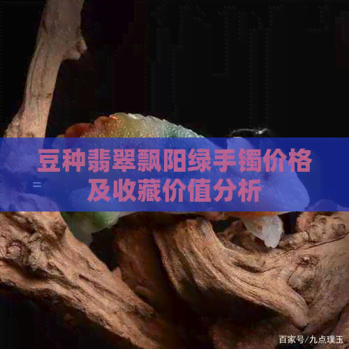 豆种翡翠飘阳绿手镯价格及收藏价值分析