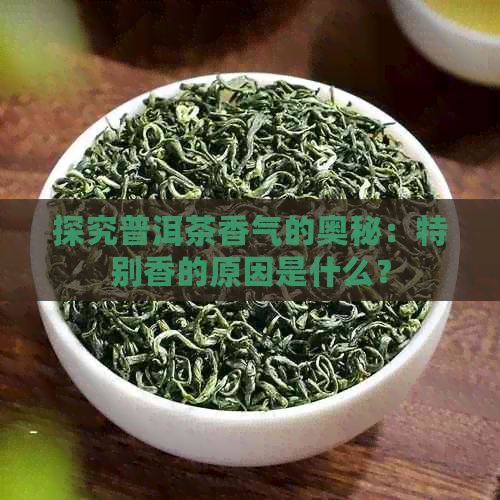 探究普洱茶香气的奥秘：特别香的原因是什么？