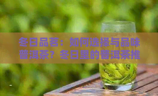 冬日品茗：如何选择与品味普洱茶？冬日里的普洱茶推荐和冲泡技巧