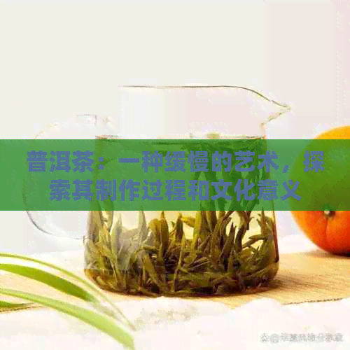 普洱茶：一种缓慢的艺术，探索其制作过程和文化意义